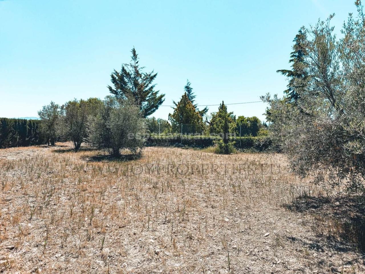 Villa à Caniles, Granada, Espagne 5 chambres, 580 m2 No. 113122