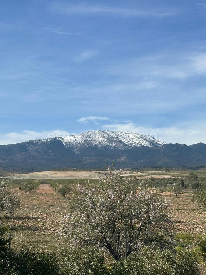 Villa à Caniles, Granada, Espagne 5 chambres, 580 m2 No. 113122