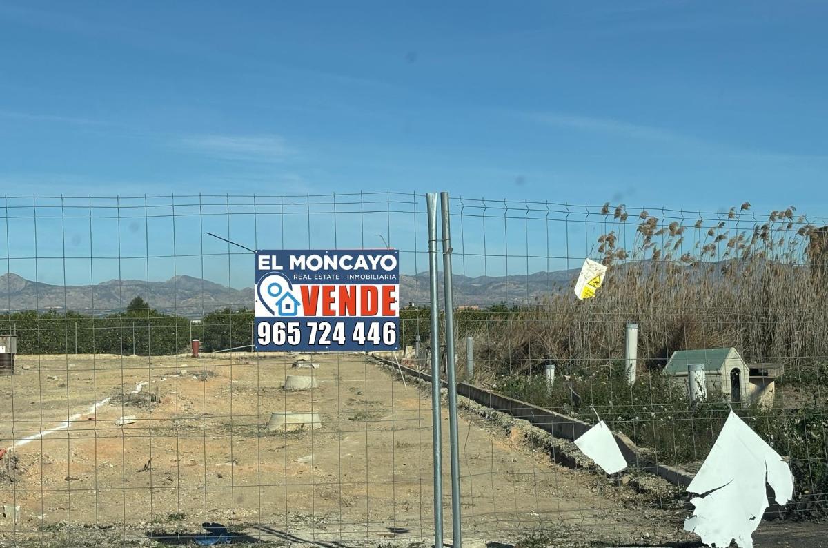 Land plot à Orihuela, Alicante, Espagne No. 183862
