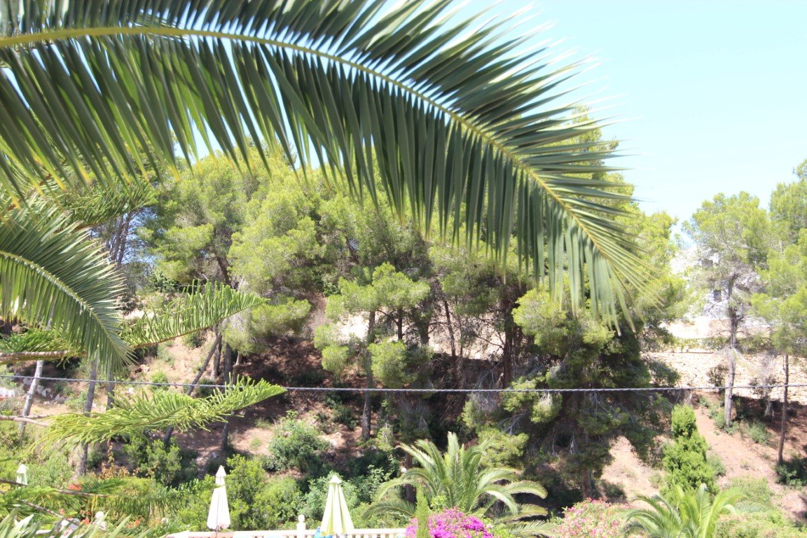 Tomt i Javea, Alicante, Spanien Nr. 183863