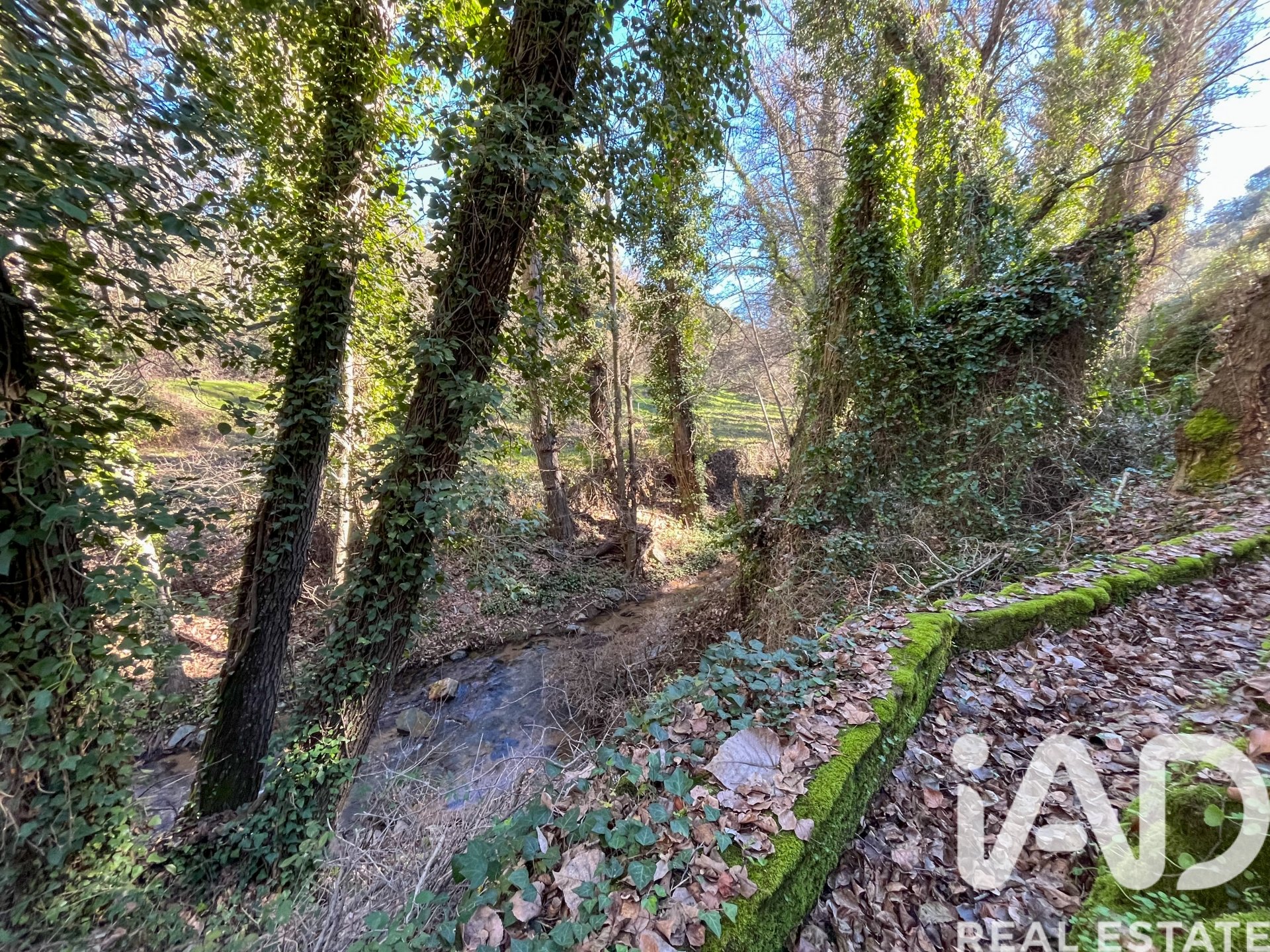 Parcela en La Nava, Huelva, España 150000 m2 No. 173023