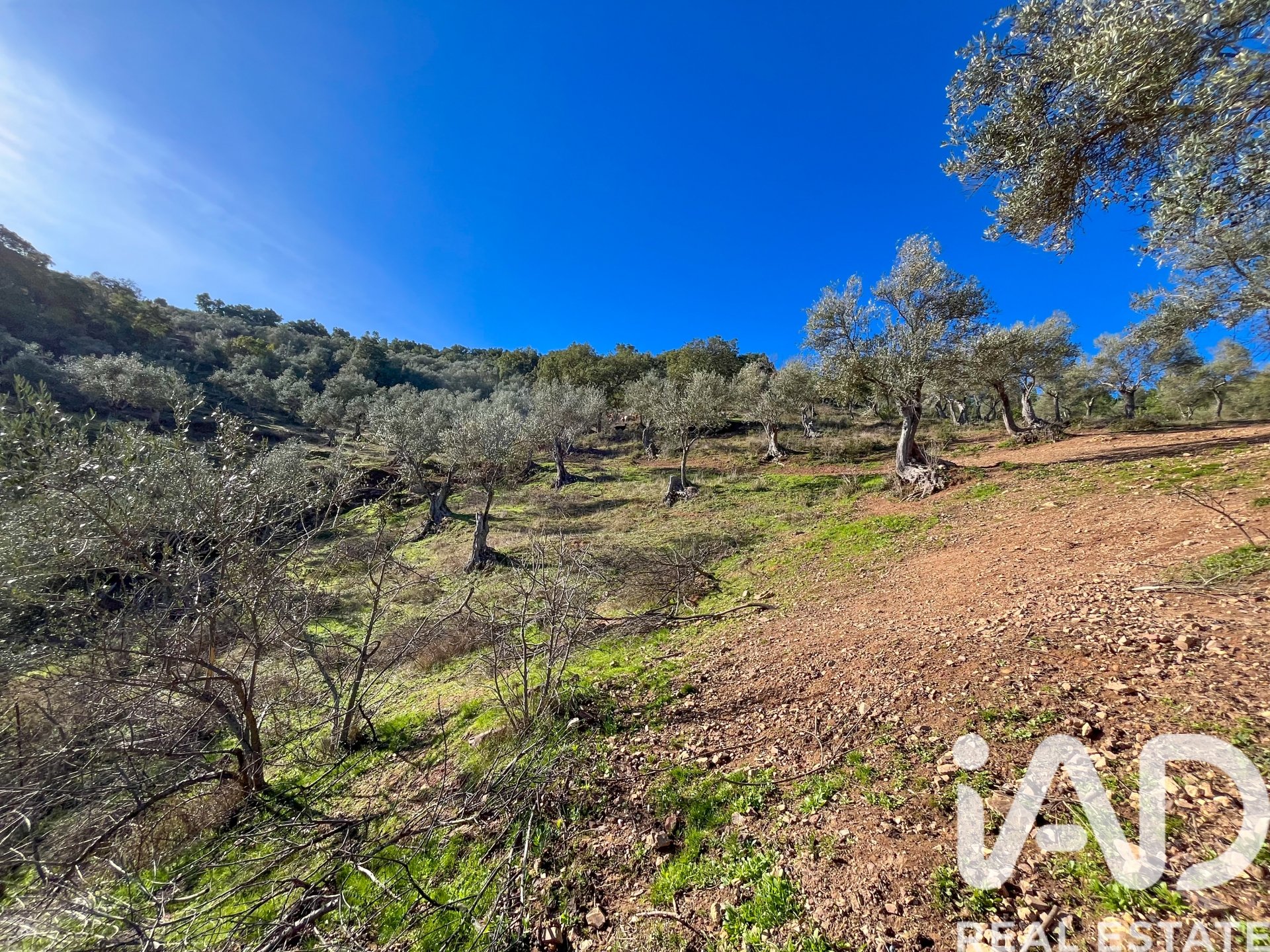 Parcela en La Nava, Huelva, España 150000 m2 No. 173023