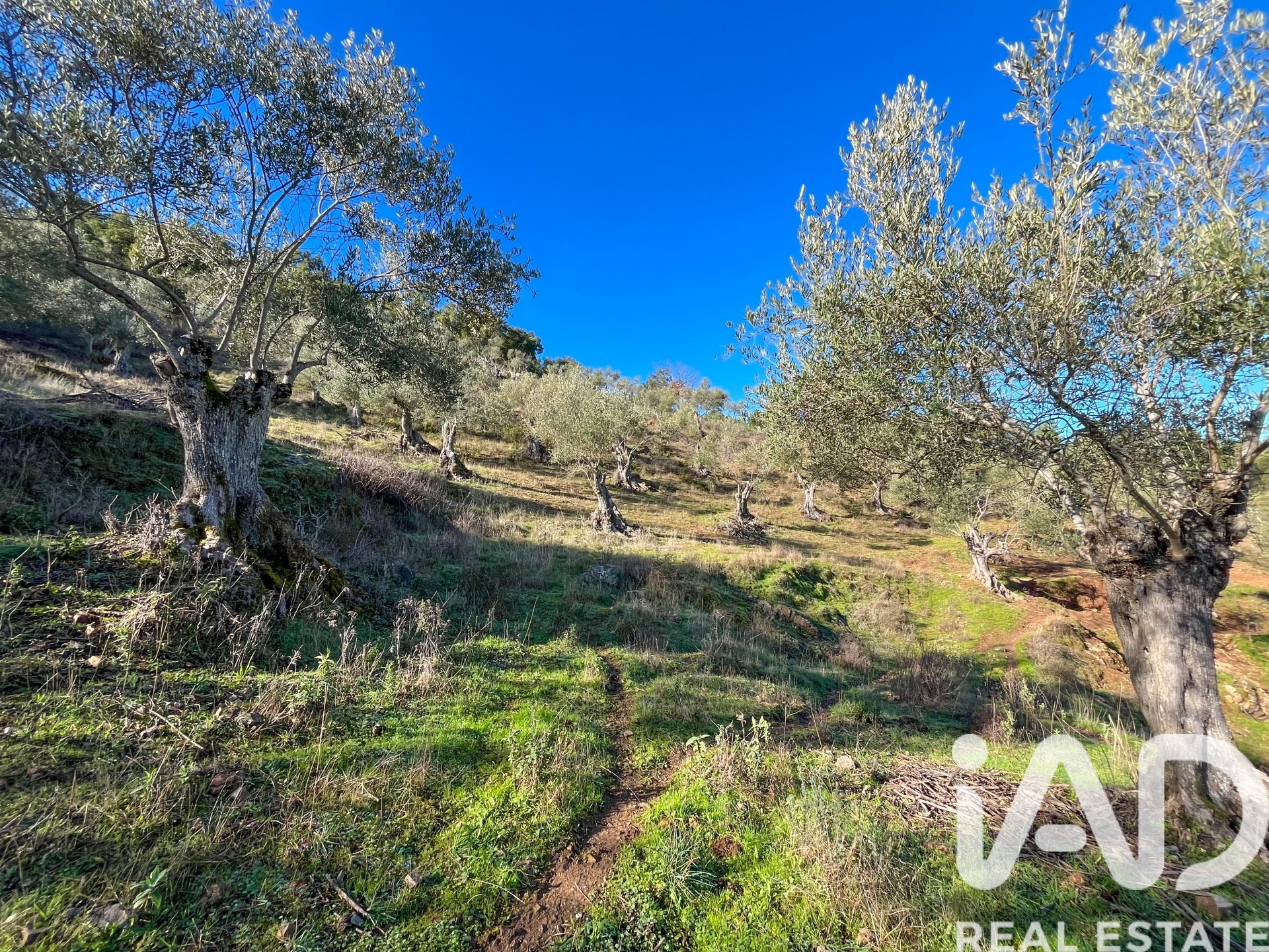 Parcela en La Nava, Huelva, España 150000 m2 No. 173023