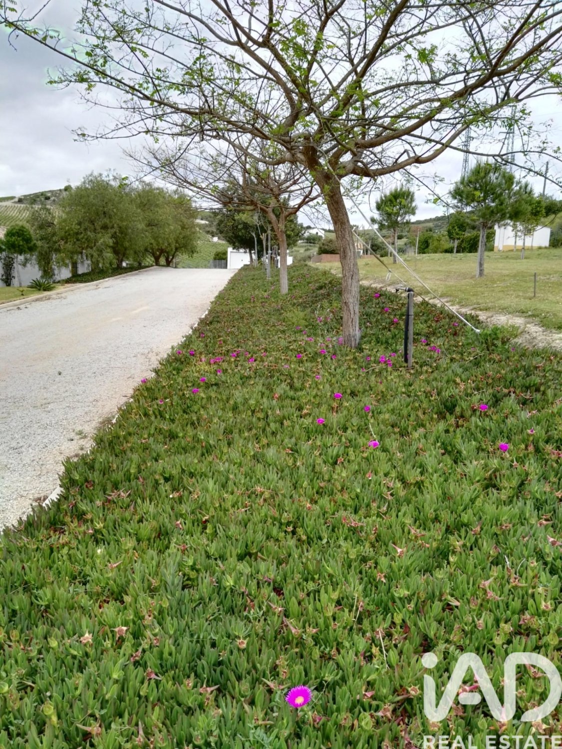 Land in Arcos de la Frontera, Cadiz, Spanien 32017 m2 Nr. 173162