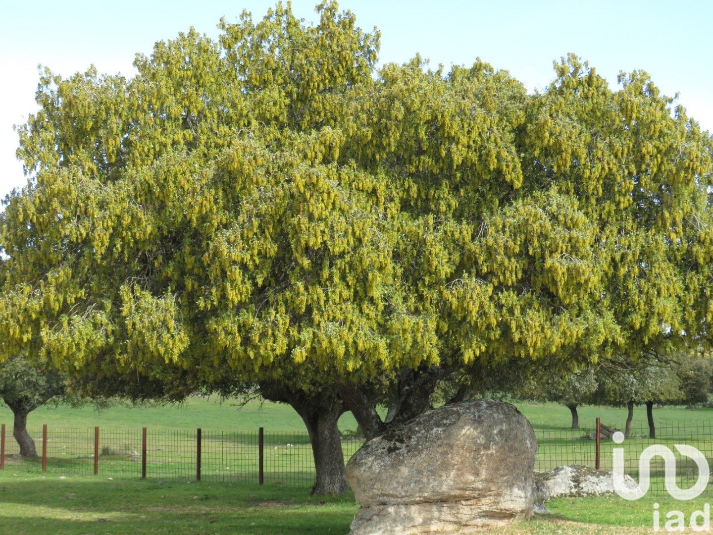 Land in Ledesma, Salamanca, Spanien 6800000 m2 Nr. 152928