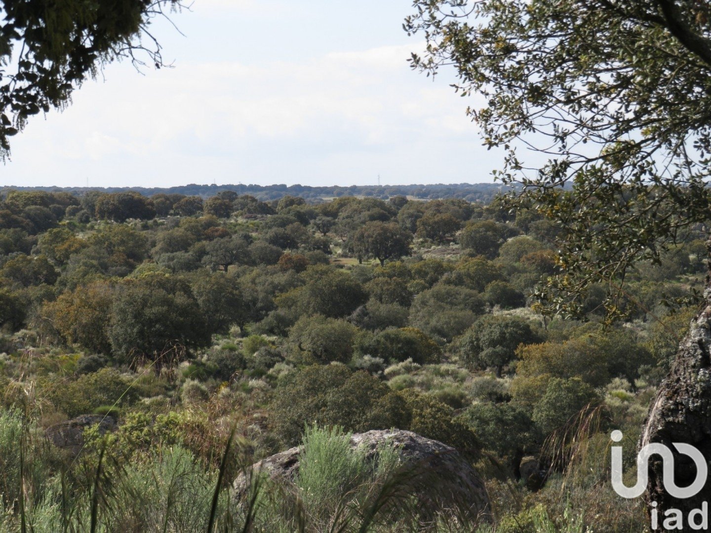 Land in Ledesma, Salamanca, Spanien 6800000 m2 Nr. 152928