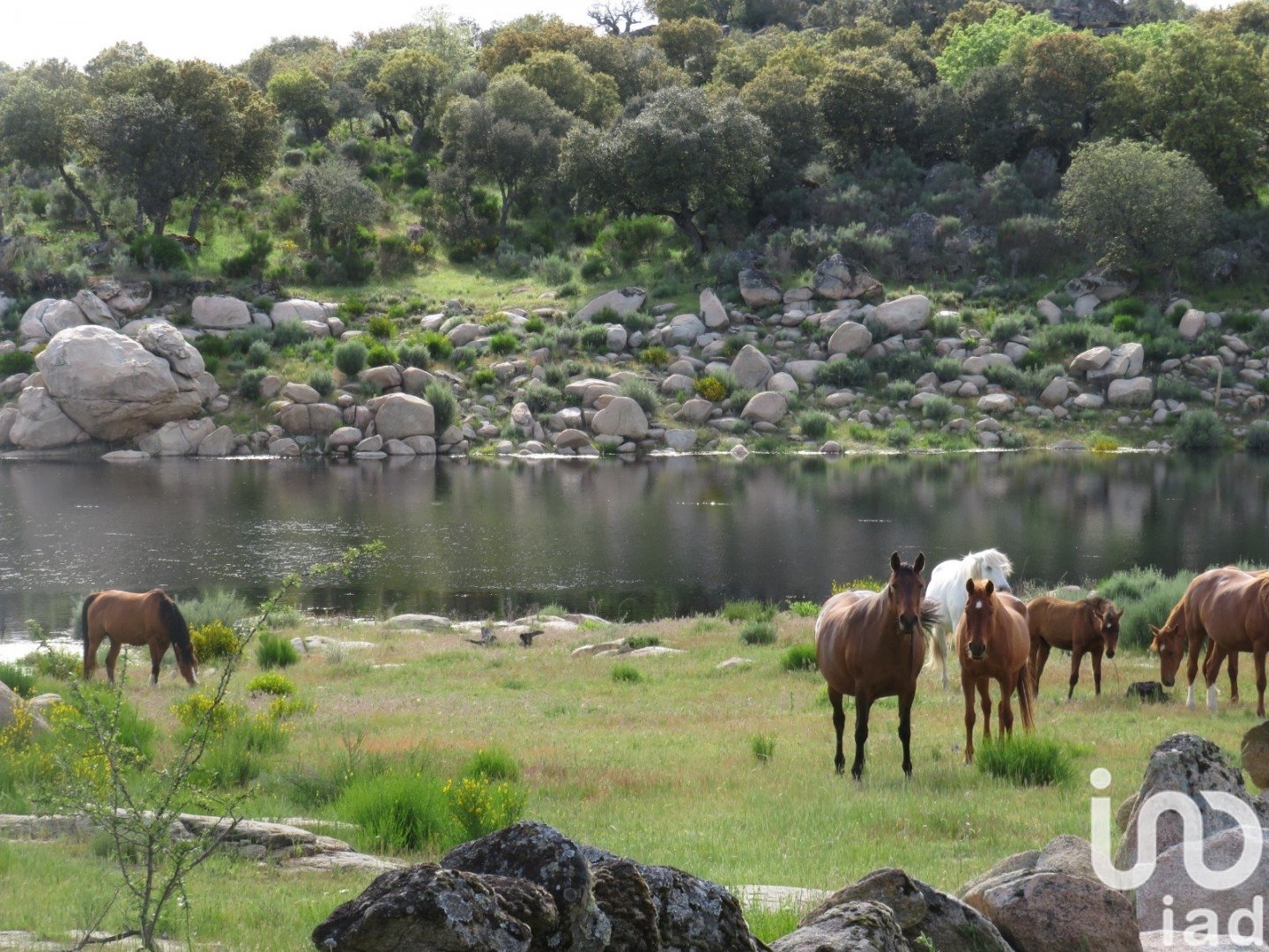 Land in Ledesma, Salamanca, Spanien 6800000 m2 Nr. 152928