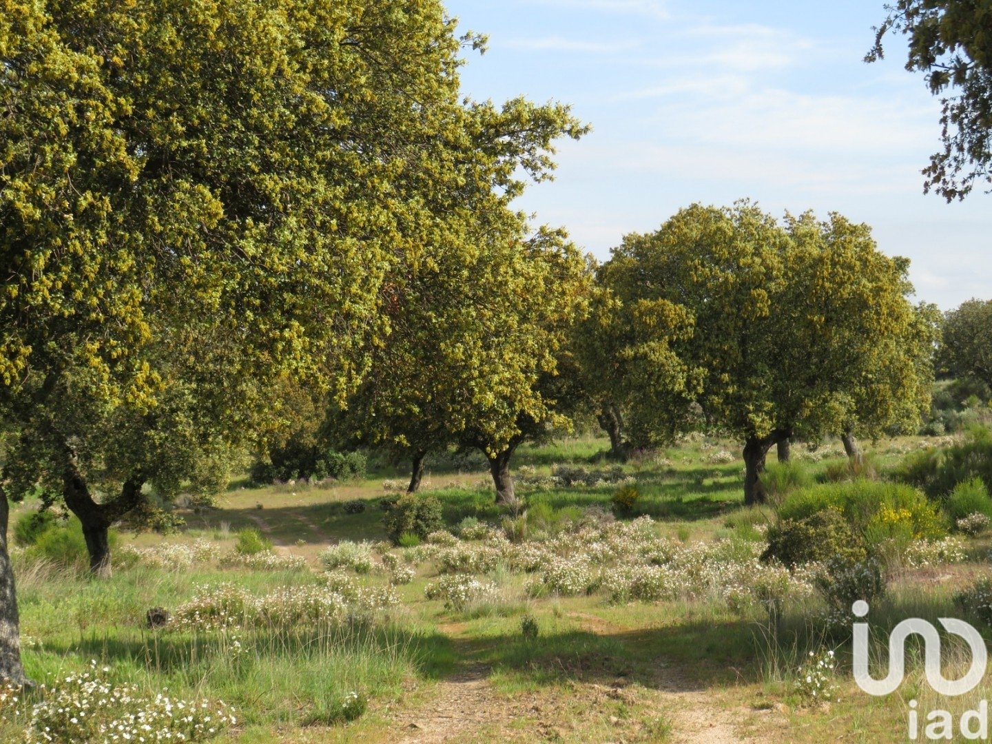Land in Ledesma, Salamanca, Spanien 6800000 m2 Nr. 152928