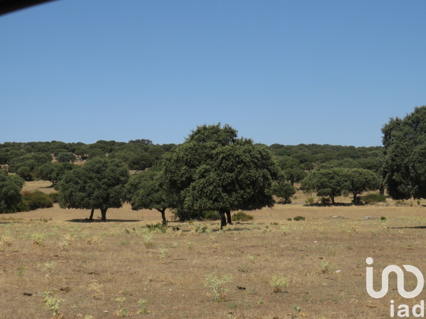 Land in Ledesma, Salamanca, Spanien 6800000 m2 Nr. 152928