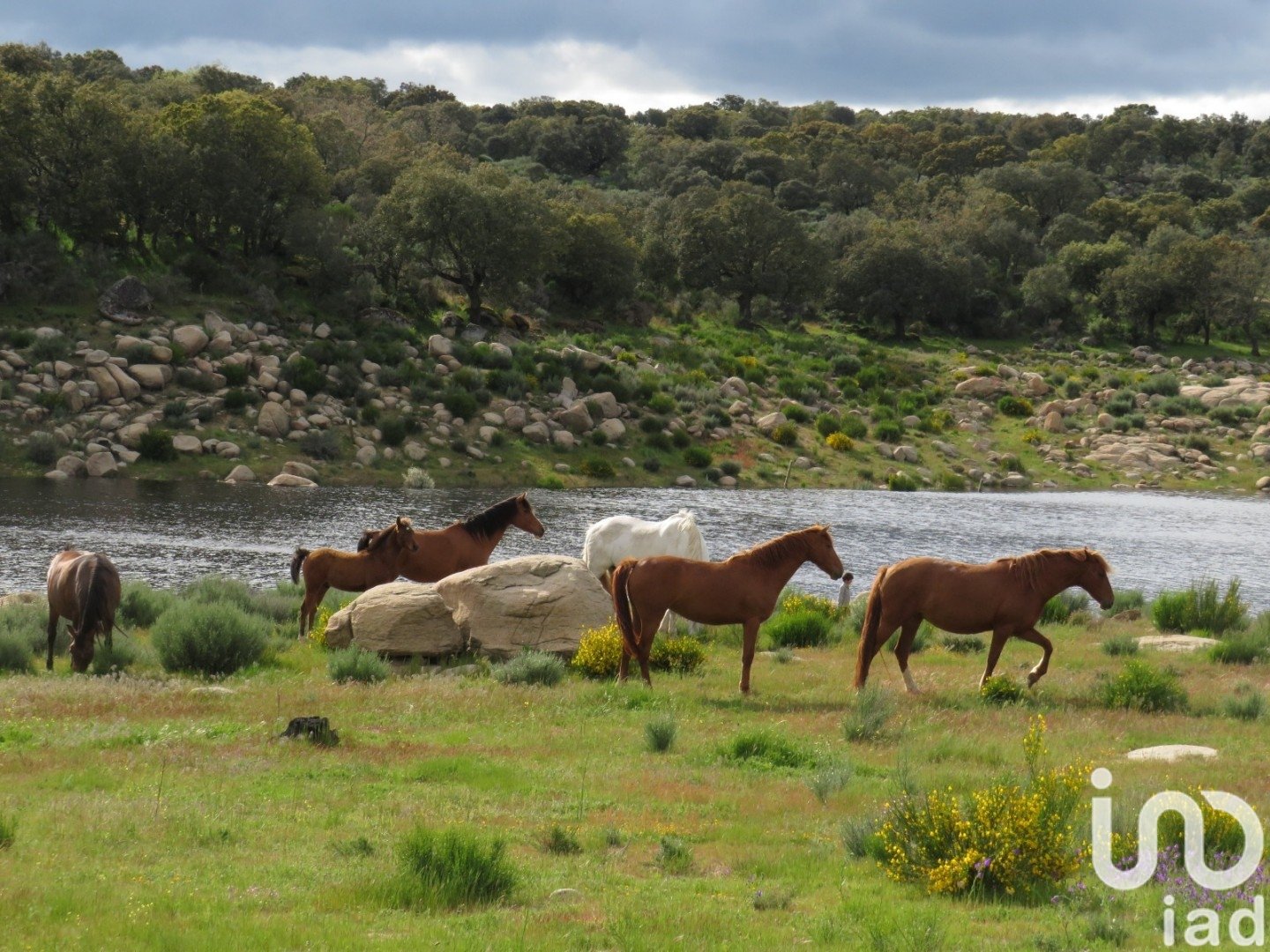 Land in Ledesma, Salamanca, Spanien 6800000 m2 Nr. 152928
