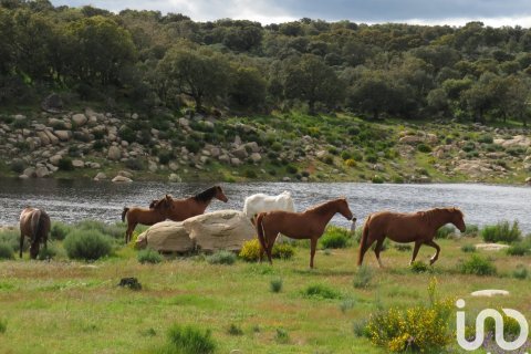 Tomt i Ledesma, Salamanca, Spanien 6800000 kvm. Nr. 152928