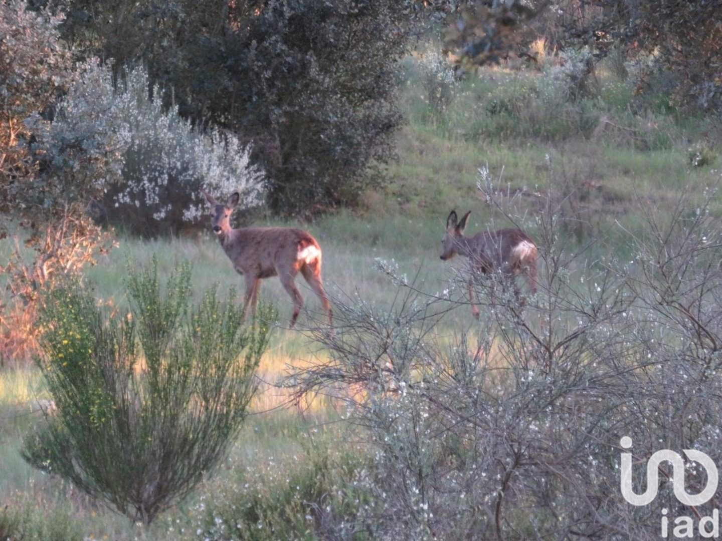 Land in Ledesma, Salamanca, Spanien 6800000 m2 Nr. 152928