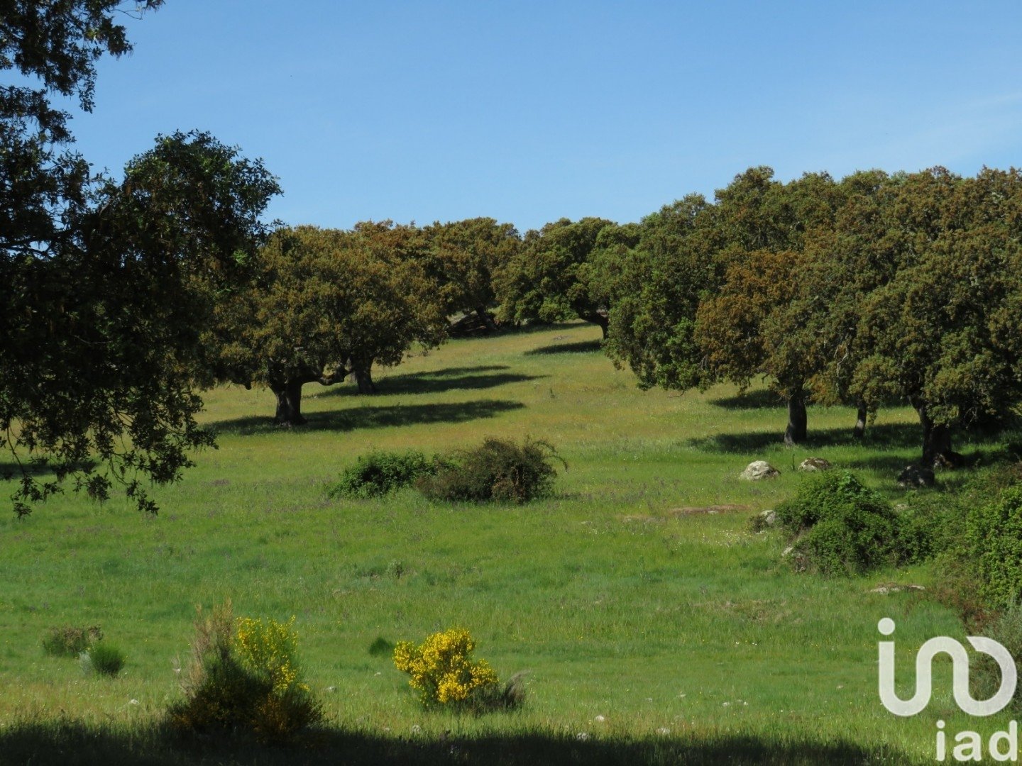 Land in Ledesma, Salamanca, Spanien 6800000 m2 Nr. 152928