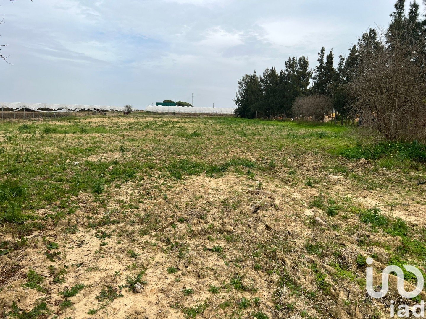 Villa à Cartaya, Huelva, Espagne 32 m2 No. 186004