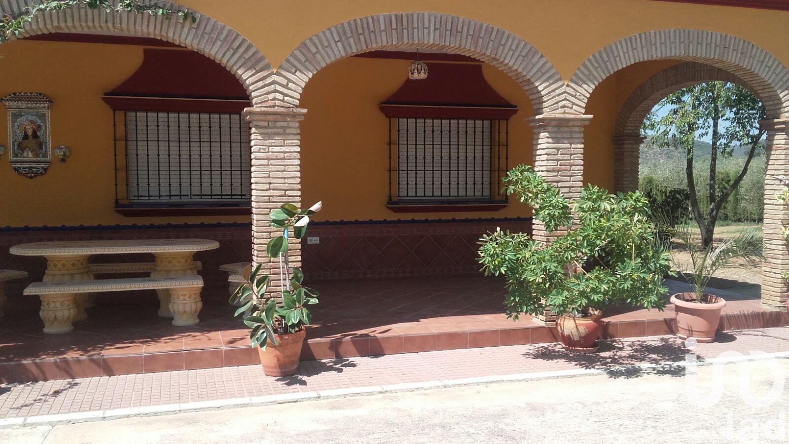 Land plot in Lora del Rio, Seville, Spain 5201 sq.m. No. 153004