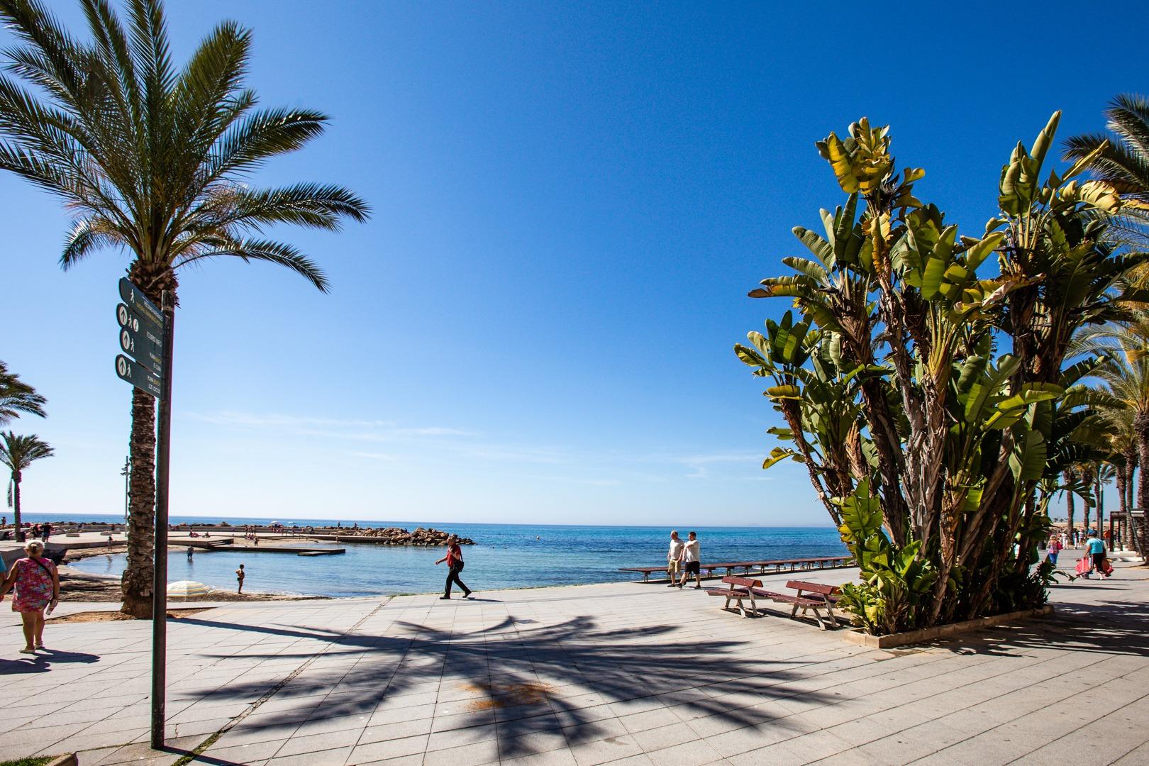 Apartment in Torrevieja, Alicante, Spain 24 sq.m. No. 195642