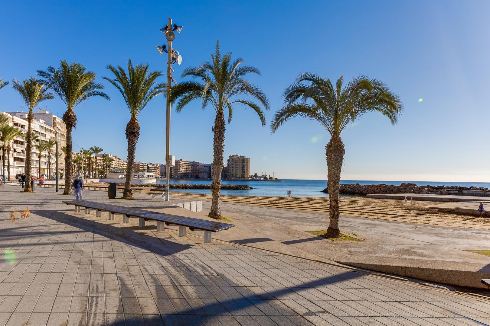 Apartment in Torrevieja, Alicante, Spain 24 sq.m. No. 195642