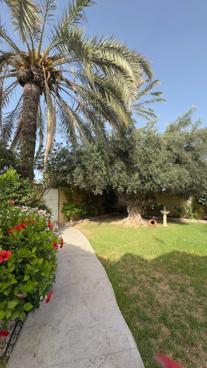Villa in Punta Prima, Alicante, Spanien 4 Schlafzimmer, 360 m2 Nr. 179591