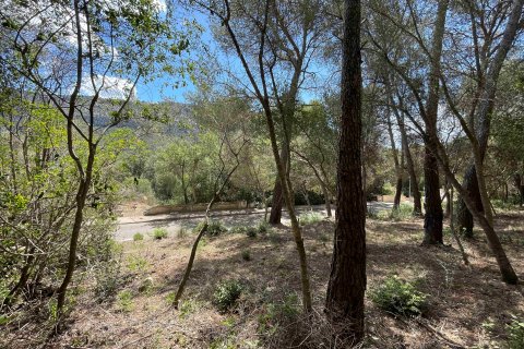 Land plot in Sa Pobla, Mallorca, Spain 1088 sq.m. No. 102102