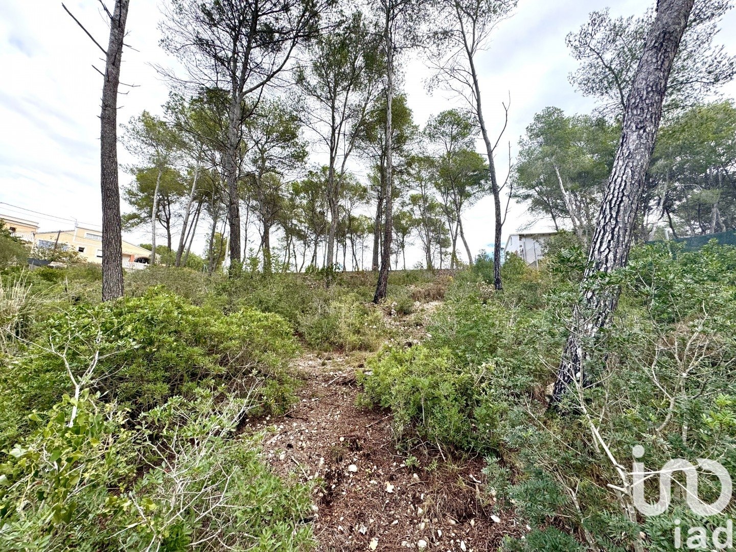 Zemes gabals Olivella, Barcelona, Spānijā 1101 m2 Nr. 186094