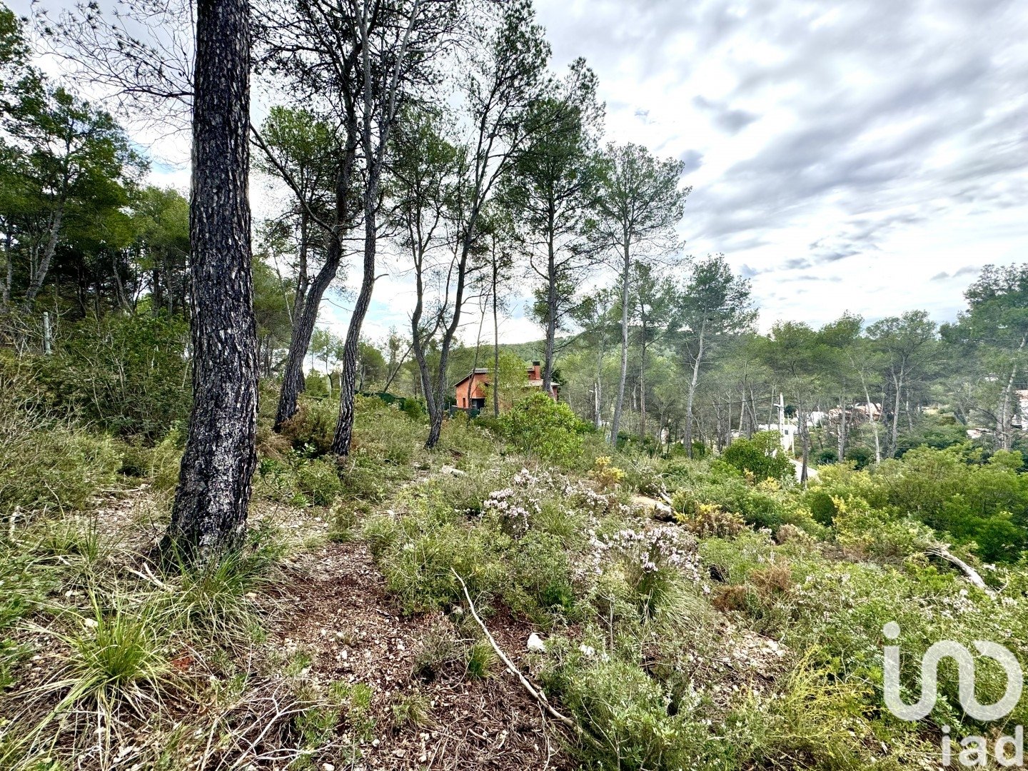 Zemes gabals Olivella, Barcelona, Spānijā 1101 m2 Nr. 186094
