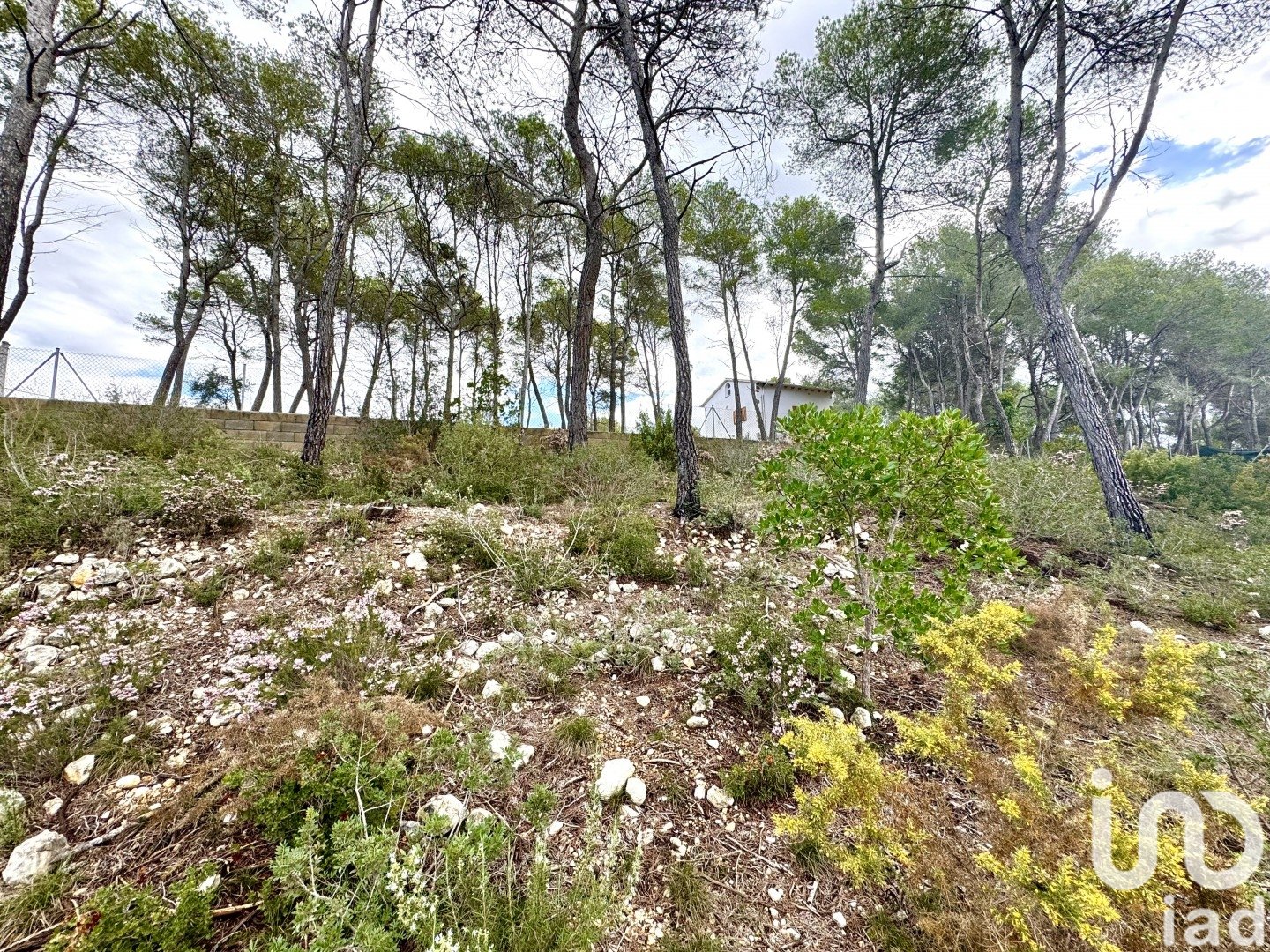Zemes gabals Olivella, Barcelona, Spānijā 1101 m2 Nr. 186094