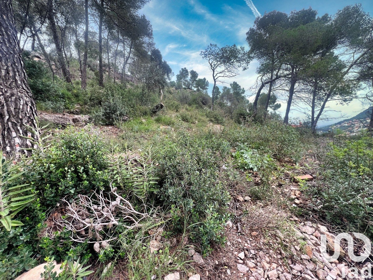 Land in Vallirana, Barcelona, Spanien 800 m2 Nr. 186088