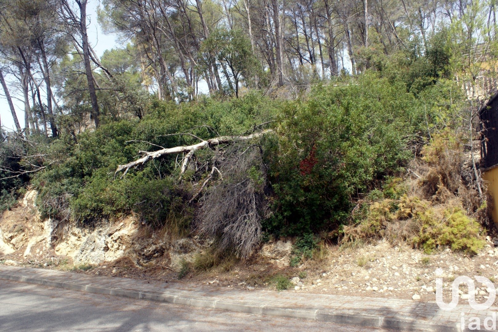 Land plot in Olivella, Barcelona, Spain 776 sq.m. No. 186093