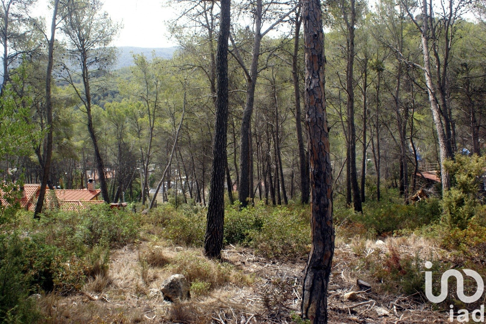 Land plot in Olivella, Barcelona, Spain 776 sq.m. No. 186093