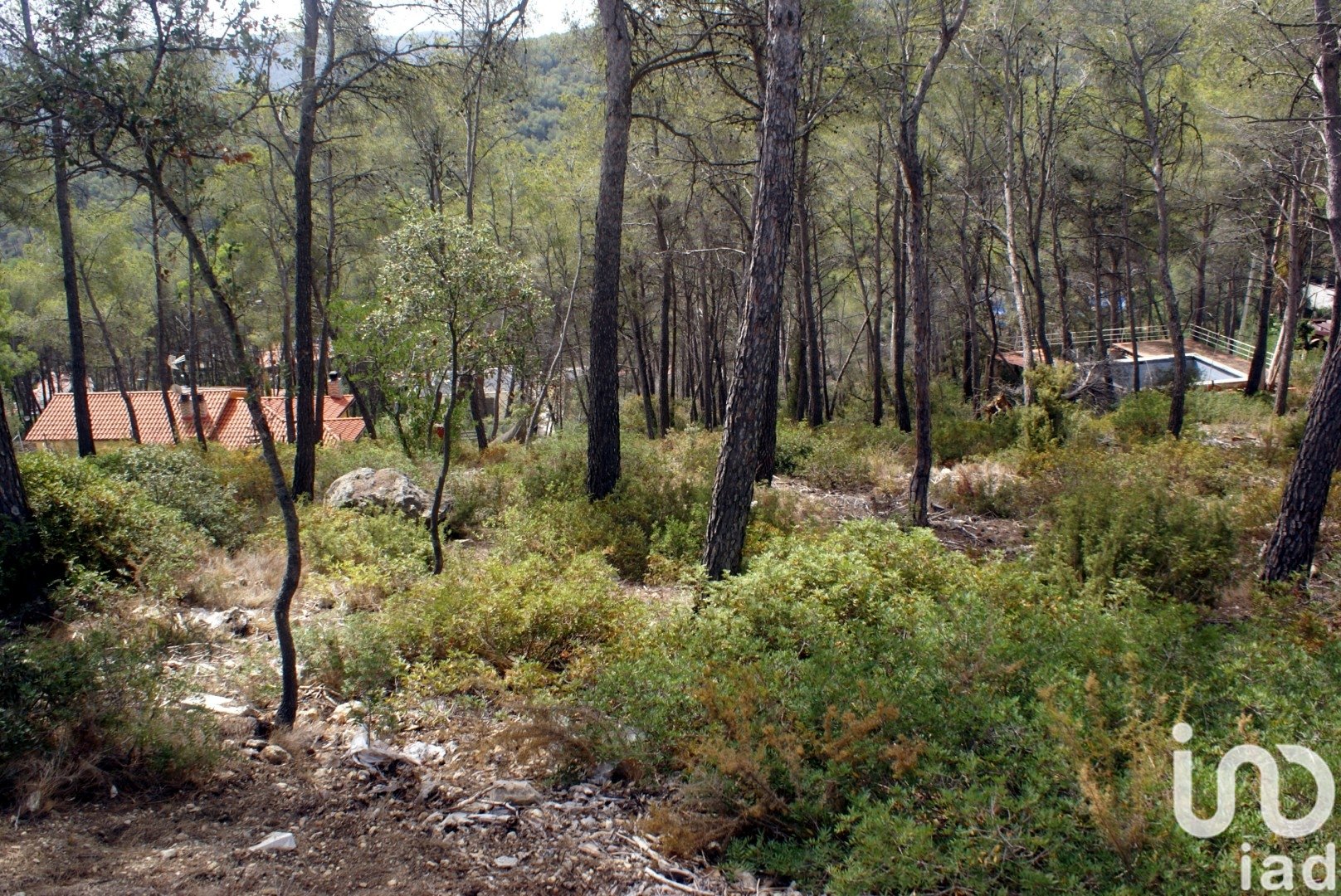 Land plot in Olivella, Barcelona, Spain 776 sq.m. No. 186093