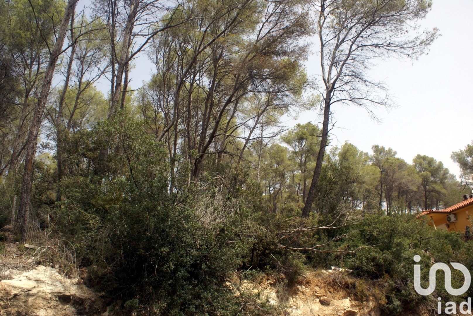 Land plot in Olivella, Barcelona, Spain 776 sq.m. No. 186093
