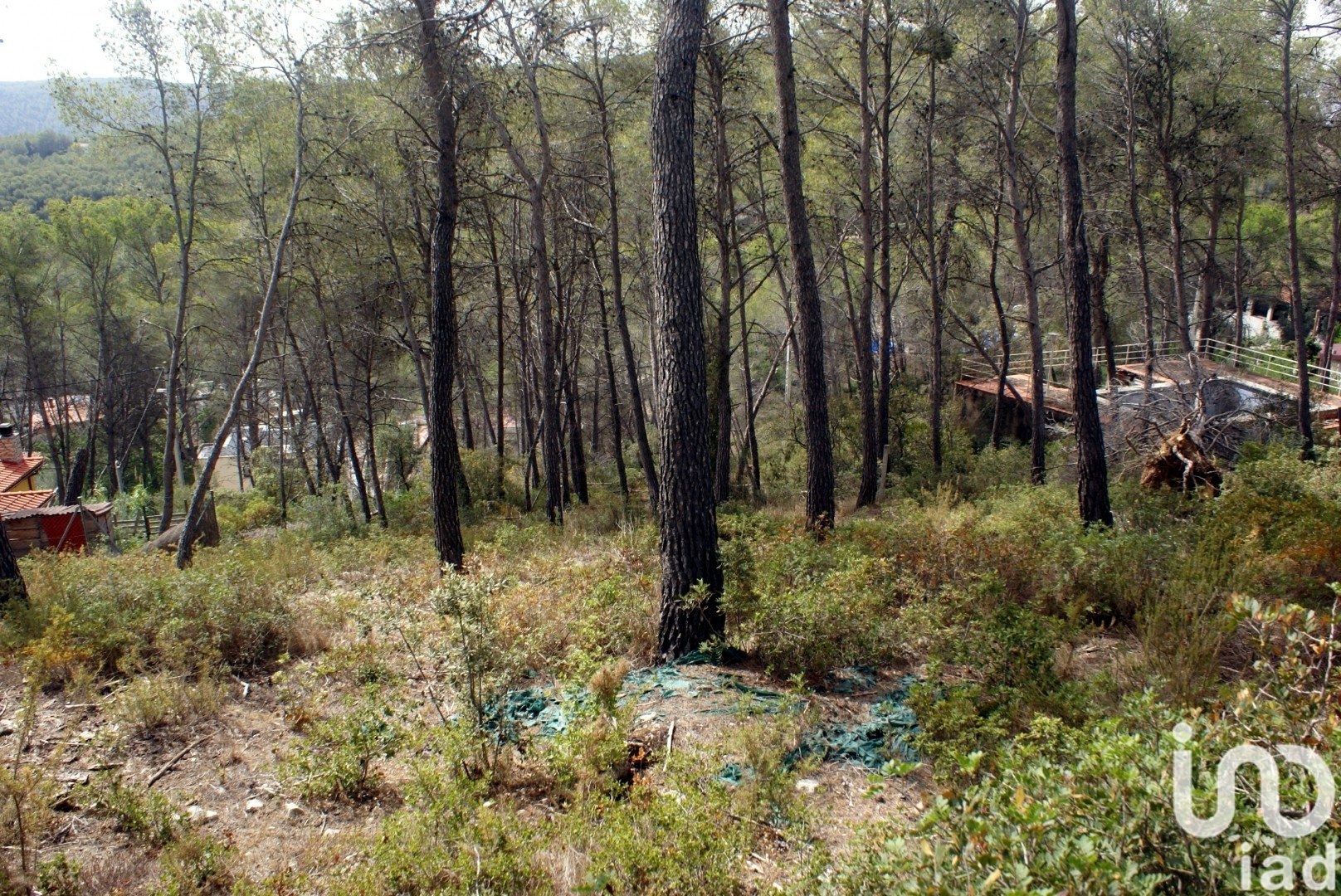 Land plot in Olivella, Barcelona, Spain 776 sq.m. No. 186093