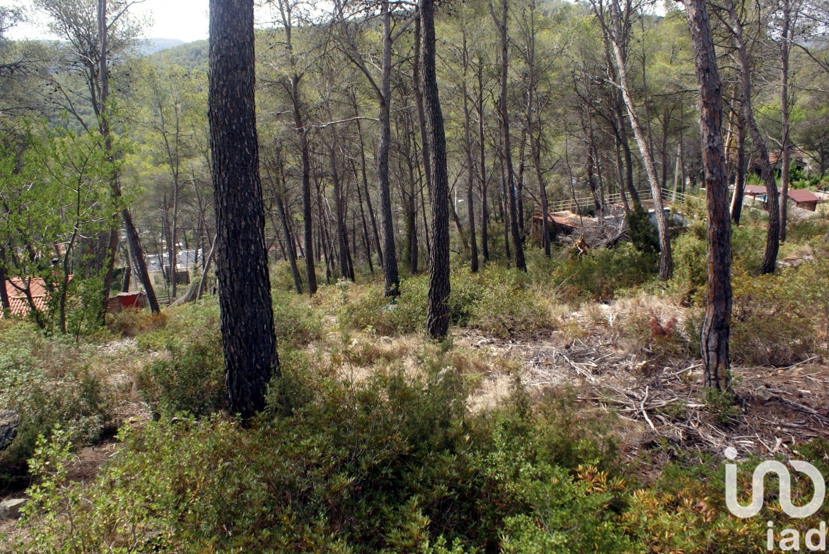 Land plot in Olivella, Barcelona, Spain 776 sq.m. No. 186093