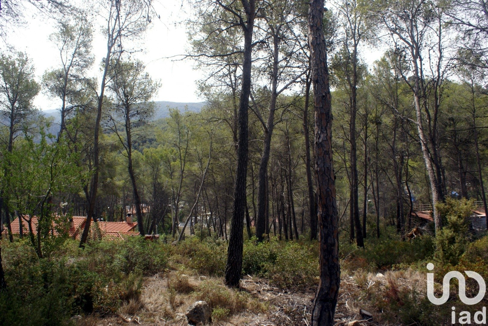 Land plot in Olivella, Barcelona, Spain 776 sq.m. No. 186093
