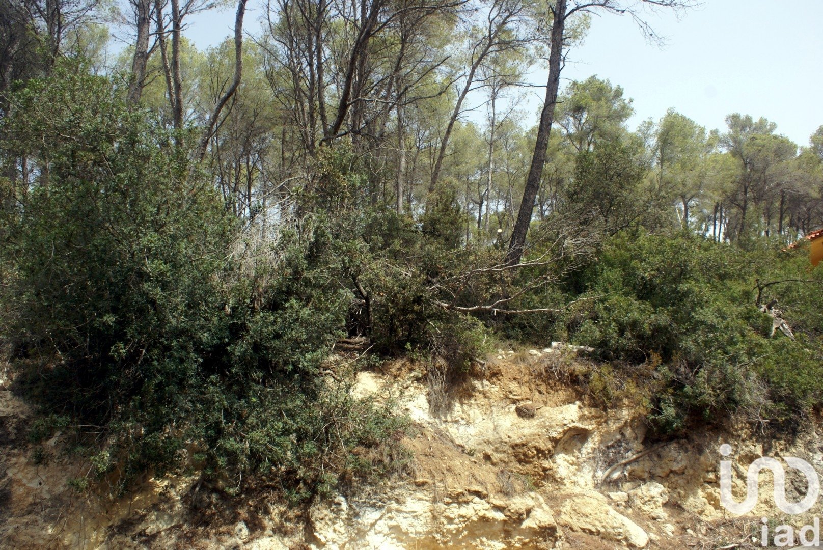 Land plot in Olivella, Barcelona, Spain 776 sq.m. No. 186093