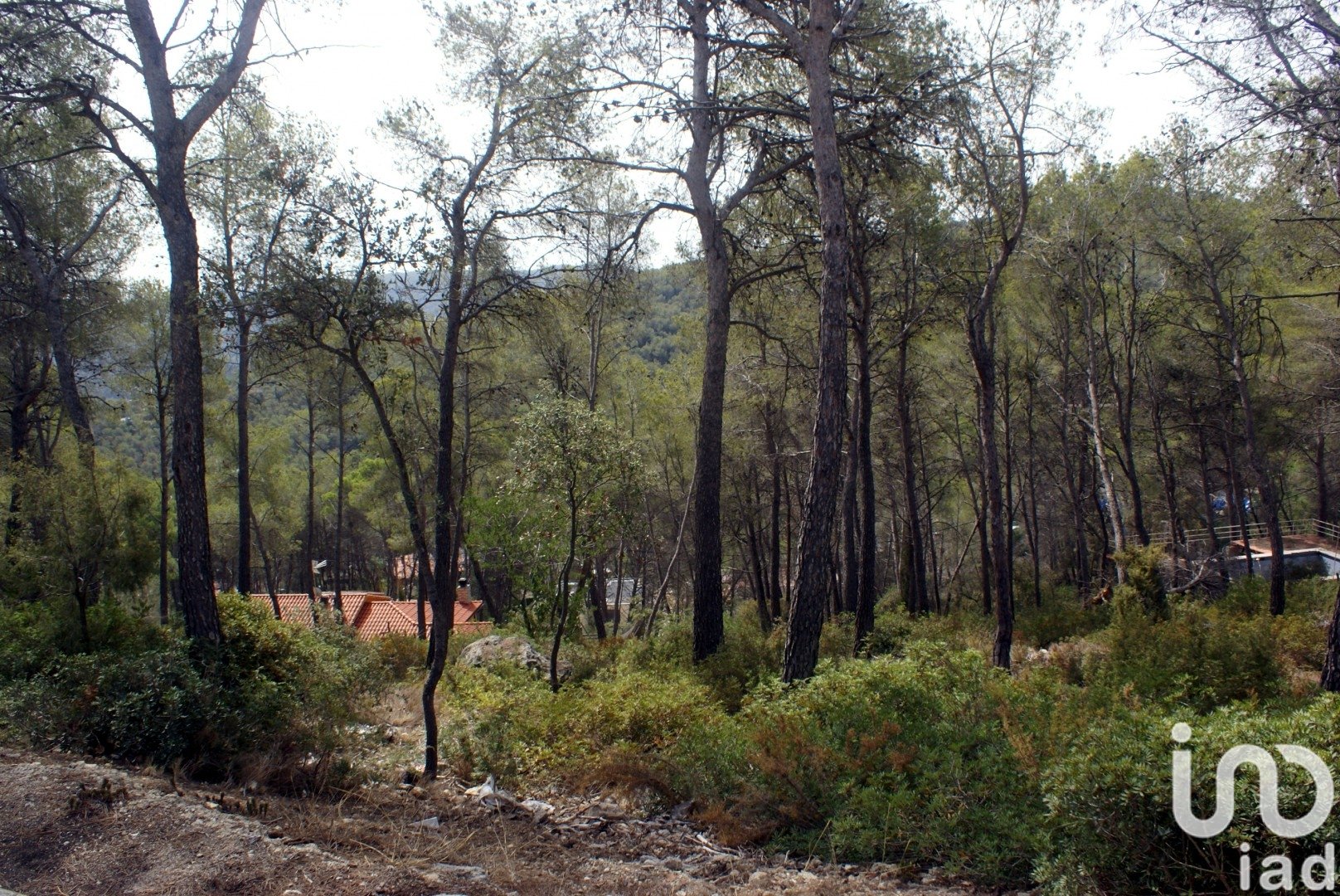 Land plot in Olivella, Barcelona, Spain 776 sq.m. No. 186093
