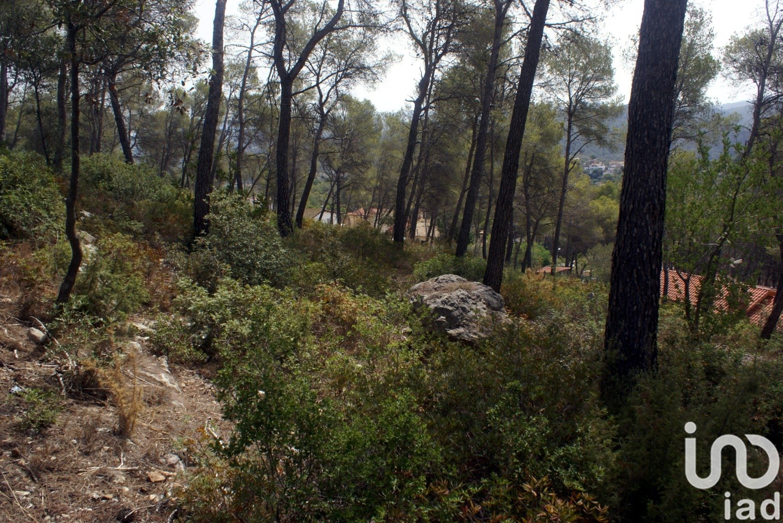 Land plot in Olivella, Barcelona, Spain 776 sq.m. No. 186093