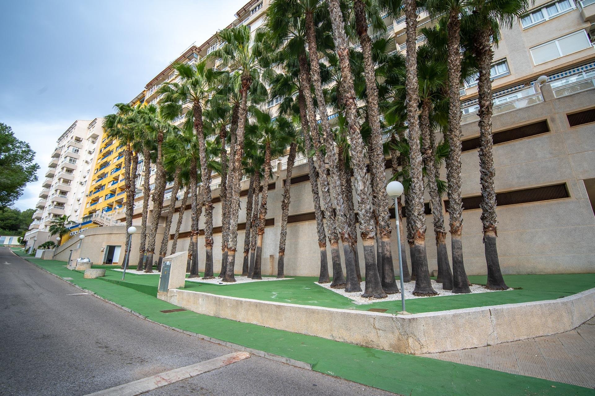 Penthauss Dehesa De Campoamor, Alicante, Spānijā 2 istabas, 89 m2 Nr. 166002