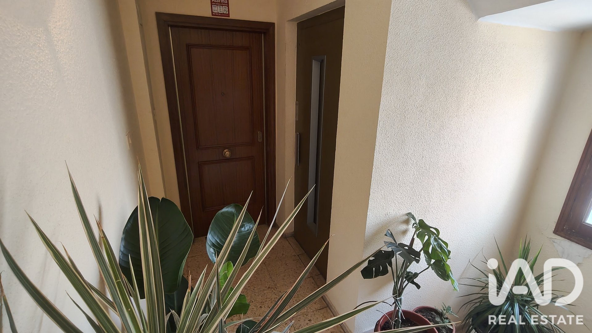 Kattohuoneisto Castellon de la Plana, Castellon, Espanja 3 makuuhuonetta, 84 m2 No. 187632