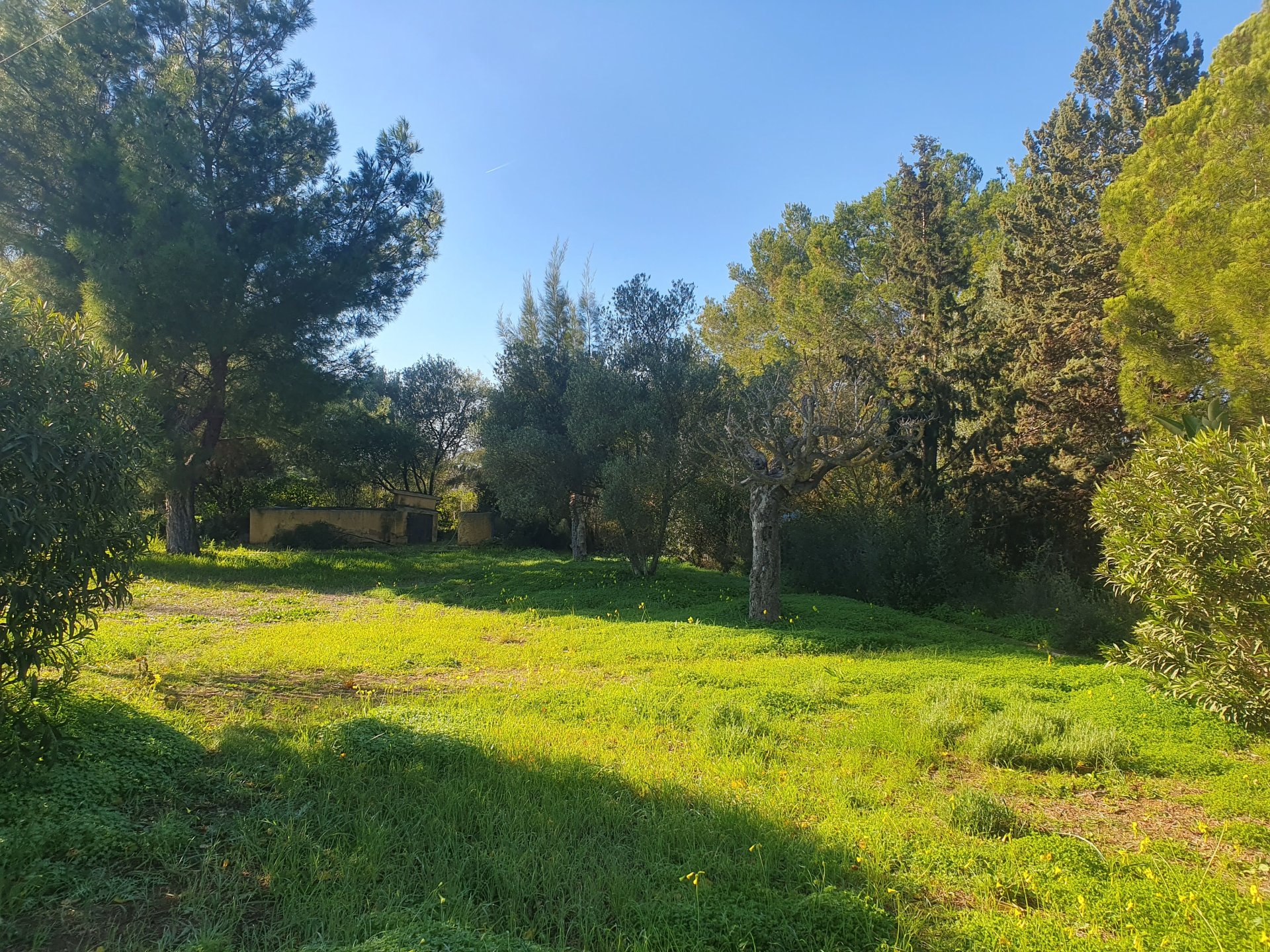 Finca Binissalem, Mallorca, Spānijā 3 istabas, 134 m2 Nr. 140443