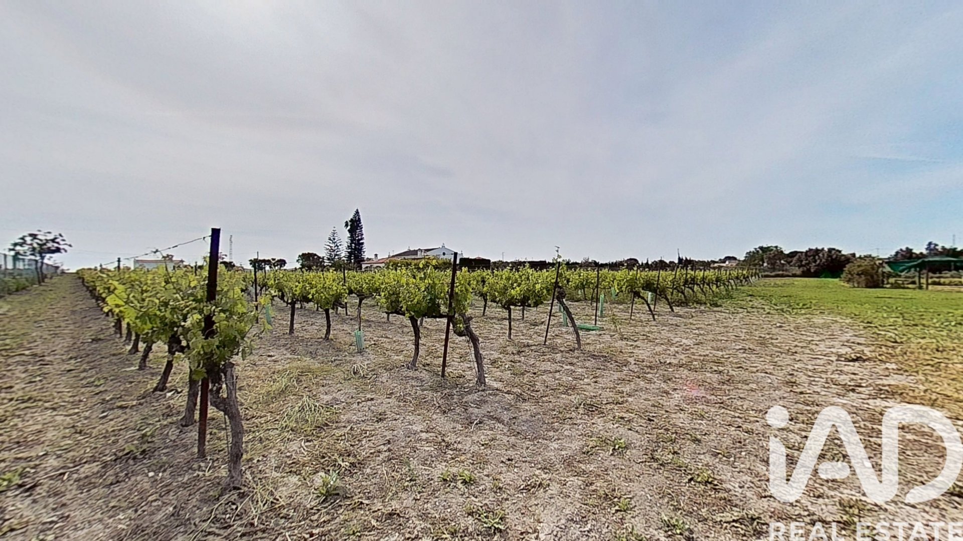 Māja El Puerto de Santa Maria, Cadiz, Spānijā 3 istabas, 339 m2 Nr. 172685