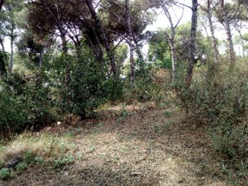 Tomt i Palafolls, Barcelona, Spanien Nr. 191580