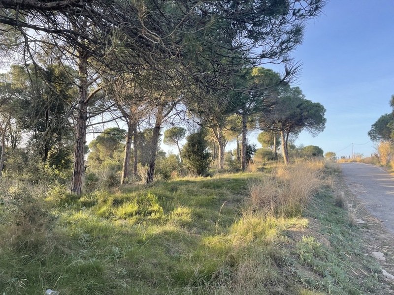 Tomt i Palafolls, Barcelona, Spanien Nr. 191580
