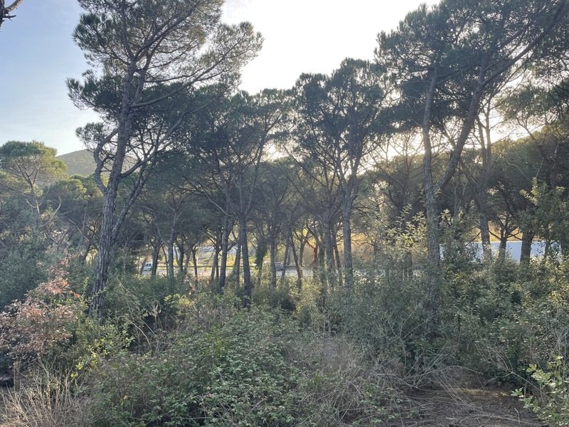 Tomt i Palafolls, Barcelona, Spanien Nr. 191580
