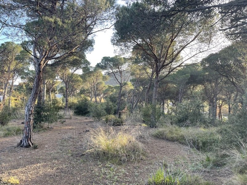 Tomt i Palafolls, Barcelona, Spanien Nr. 191580