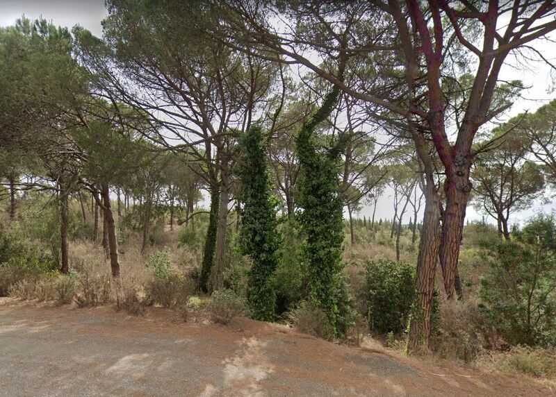Tomt i Palafolls, Barcelona, Spanien Nr. 191580