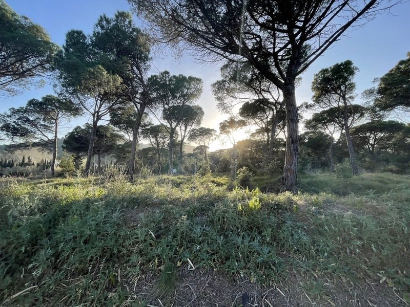 Tomt i Palafolls, Barcelona, Spanien Nr. 191580
