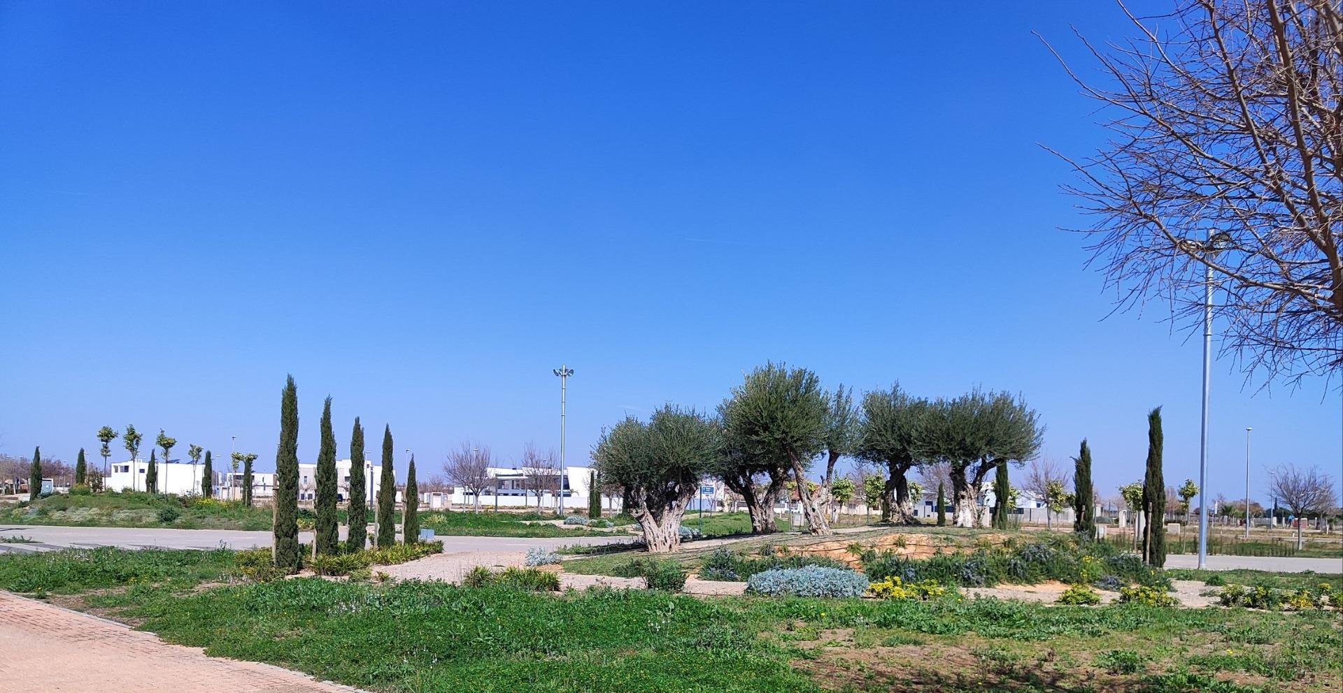 Kattohuoneisto Torre-Pacheco, Murcia, Espanja 3 makuuhuonetta, 107 m2 No. 111387