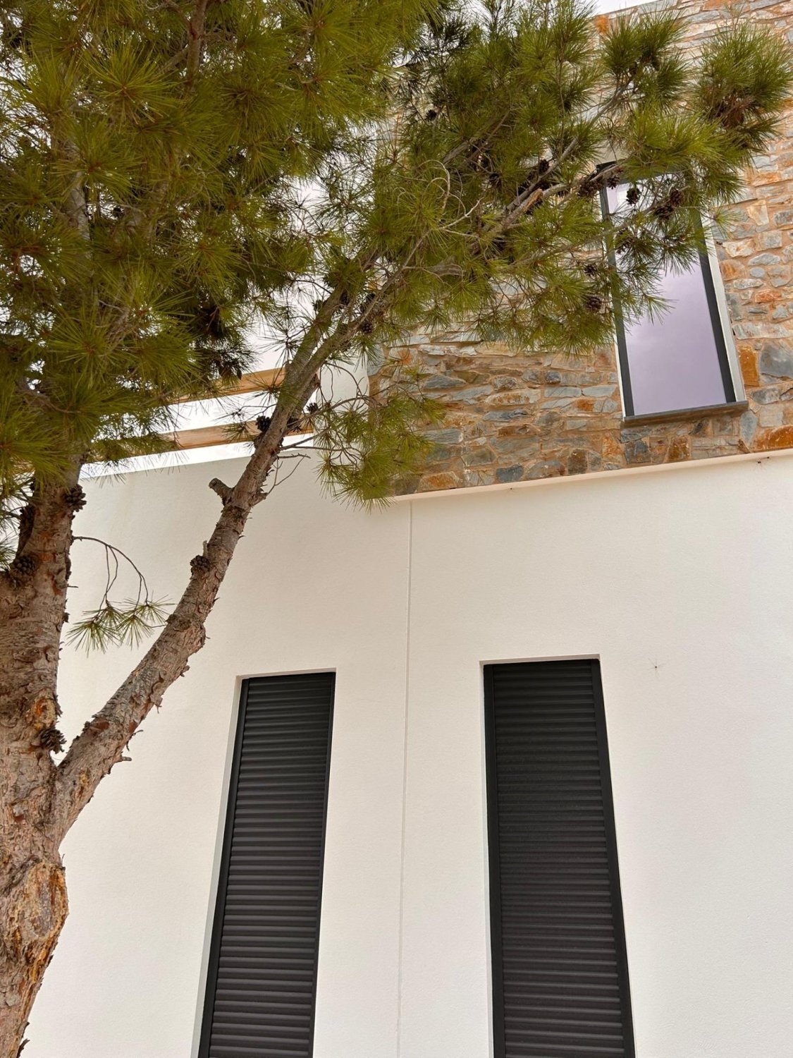 Villa in Pinoso, Alicante, Spain 4 bedrooms, 283 sq.m. No. 193335