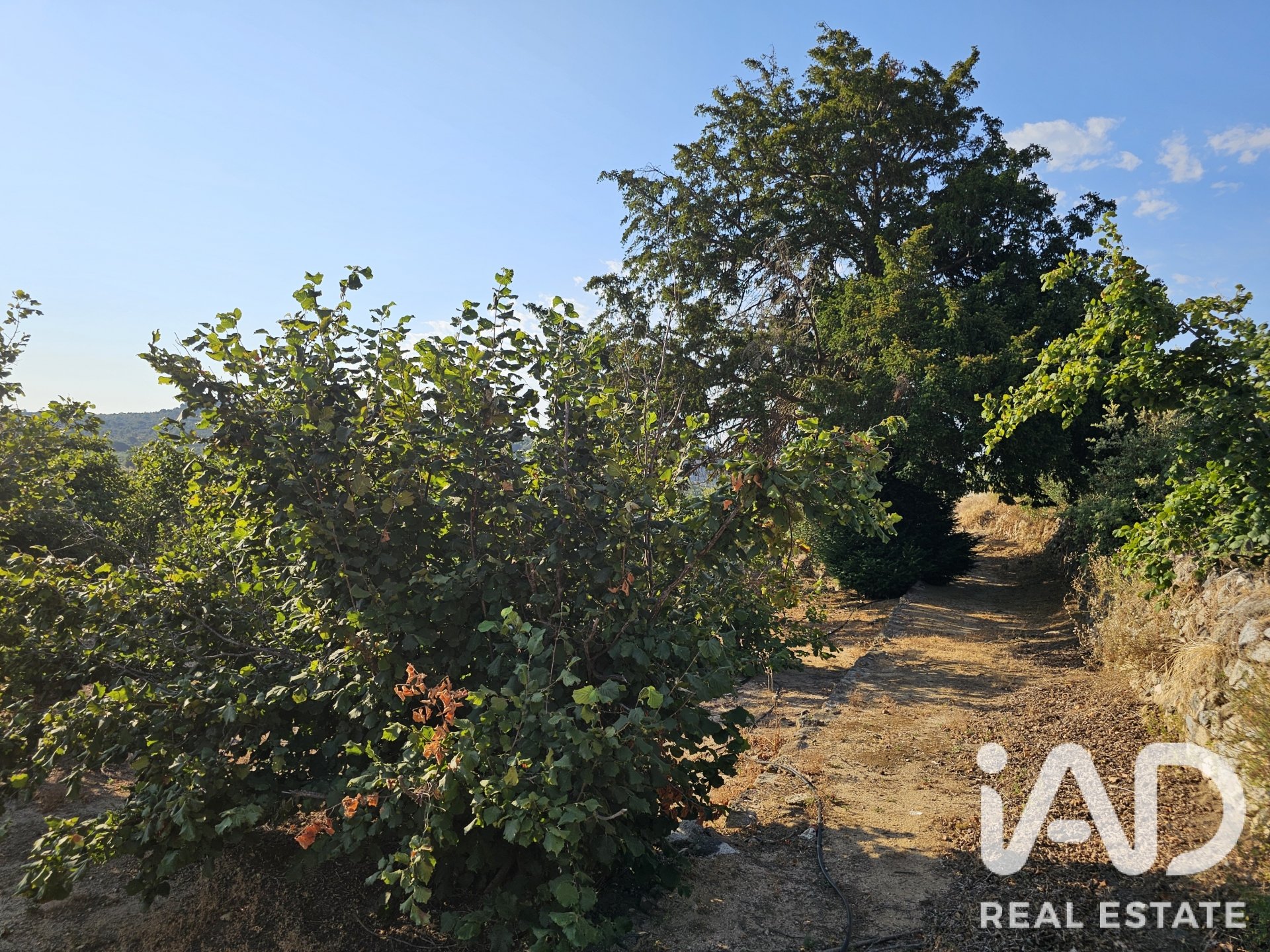 Land plot in Alforja, Tarragona, Spain 66862 sq.m. No. 187596